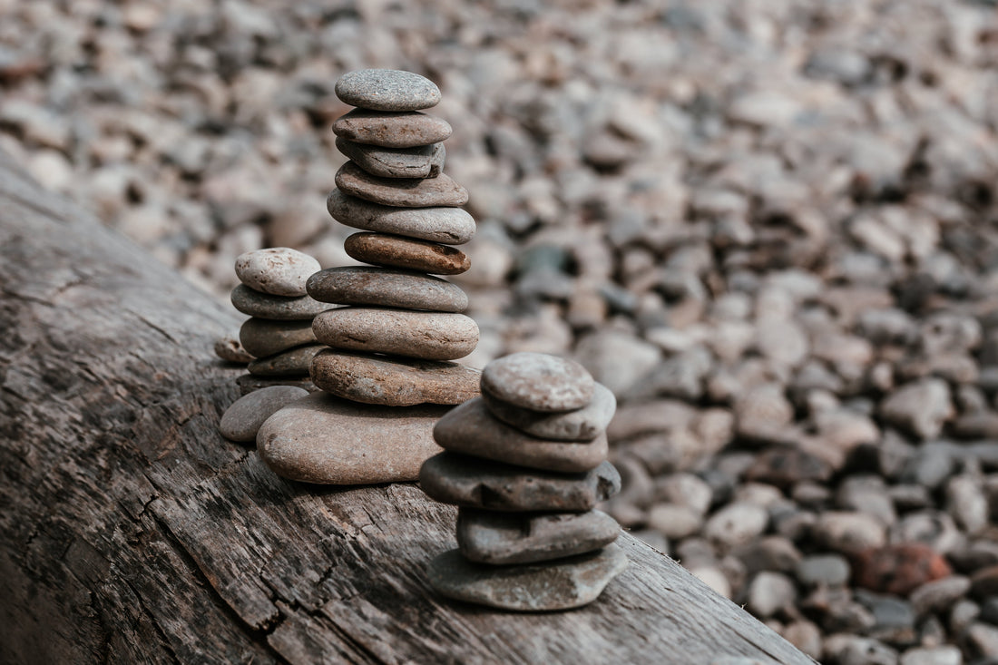 Wellness: For Every-Body... Literally