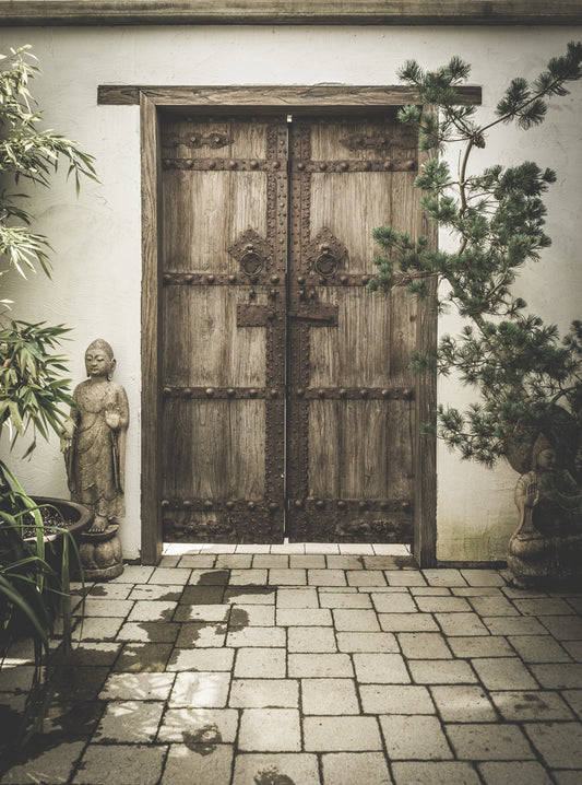 Wellness: Mindfulness Activities for Beginners
